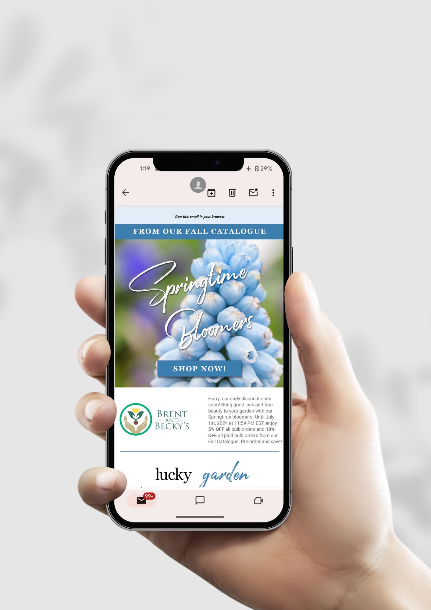 Email Newsletter